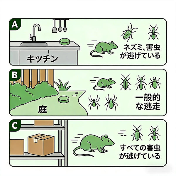 12個入り 人気の天然成分ネズミ忌避剤（きひざい）ボール